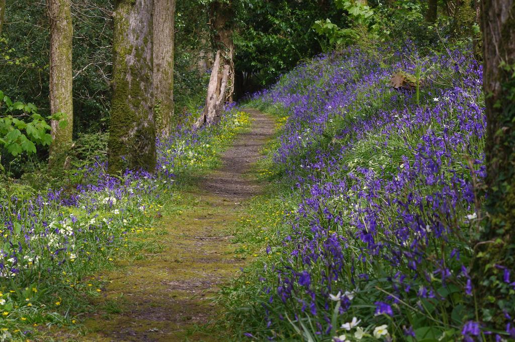 Trenython Manor Resort Fowey Zewnętrze zdjęcie